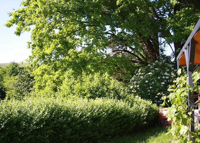 2 Mit Aussenpool Und Sauna * Sulzfeld am Main