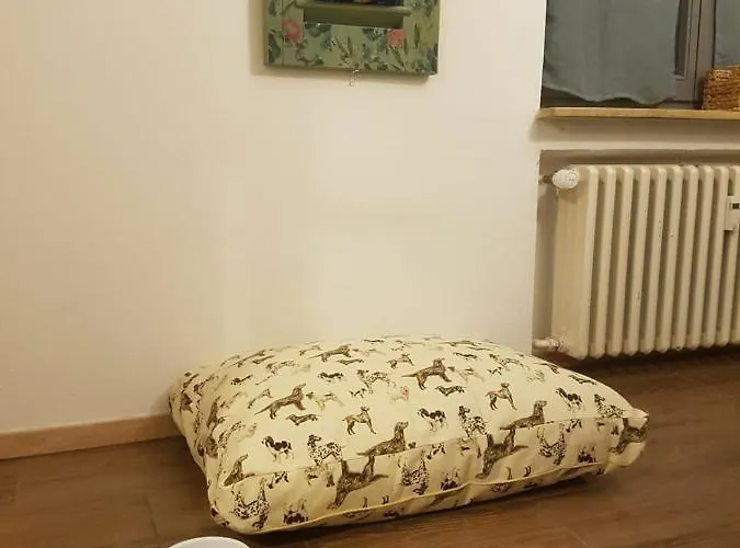 Appartement 2 Mit Aussenpool Und Sauna